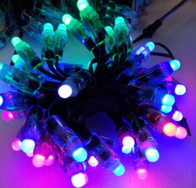 China WS2811 Theme Park Blackout 12V 12mm 50leds IP65 Waterproof Color Changing RGB String Digital Light Accessible Strip for sale