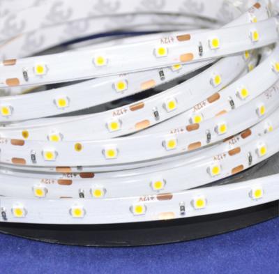 China Theme Park IP65 SMD3528 60leds/m White/Warm White Color Led Strip Light 12V Waterproof Flexible Led Glue Cover Strip for sale