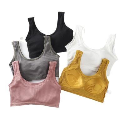 China QUICK DRY ladies cotton comfortable bras free wire cheekier one piece seamless bra for sale