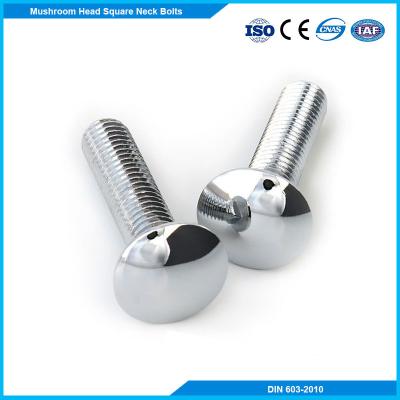 China Carriage Bolt SUS 304 316 Head Fastener DIN603 Square Mushroom Neck Bolts M5~M20 for sale