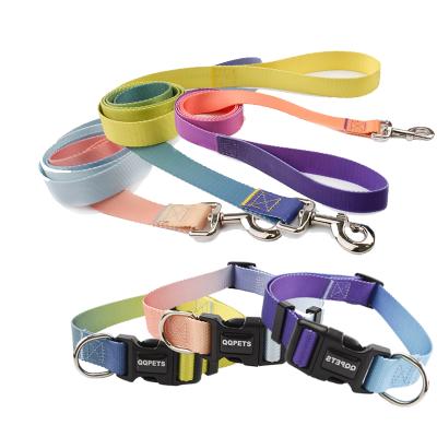 China Viable With Leash Adjustable Buckle, Cat And Dog Pet Supplies Cat Accessories Collar Small Colorful Dog Collar for sale