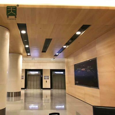 China Hot Selling TianGe Modern Factory Perforated Acoustic Aluminum Clip-in Ceiling Panels for sale