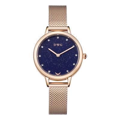 China Steel Band High End Quartz Watches Ladies With Starry Sky Dial And Mesh Strap for sale