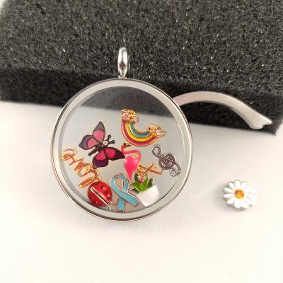 China Latest LivingLOCKET Glass Pendant LivingLOCKET CLASSIC SIDE OPEN WAY Life Stainless Steel Glass Pendant Floating Jewelry for sale