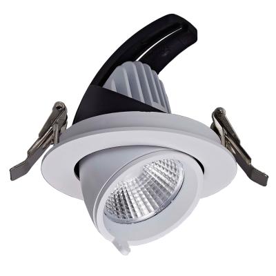 China Hotel COB Gimbal Led Down Lights Cylinder Light 40w Downlight Fixture for sale