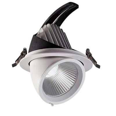 China Hotel led gimbal down light lighting for large store makers 20w for sale