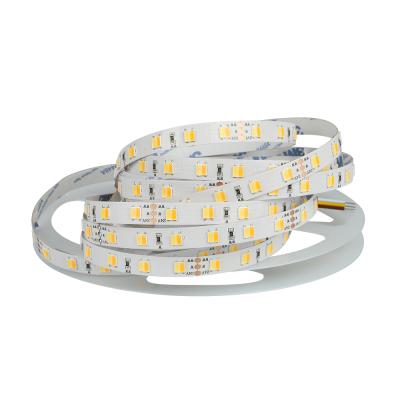 China LANDSCAPE colorful certify led strip light car_led_strip car R-G-B-W-WW for sale