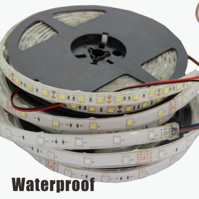 China LANDSCAPE 5050 Led Strip Programmable Digital AC220V ip65 95 CRI for sale