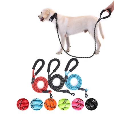 China Muti-Color Durable Practical Heavy Duty Heavy Duty Large Quality Pet Collar Nylon Material Collar Leash for sale