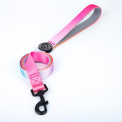 China Manufacturer Direct Wholesale Cool Padded Nylon Dog Leashes Pet Supplies Gradient Color Design for sale