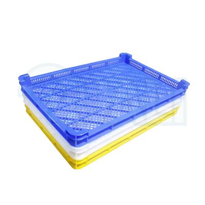 China Special Agriculture For Dryer Machine Customized Color Customized Color Plastic Dry Fruit Tray for sale