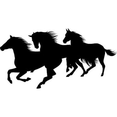 China China Wholesale decorative sticker lightningsigns horse car van trailer smooth vinyl sticker decal for sale