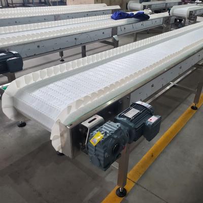 China Factory Durable White Modular Belt Conveyor for sale