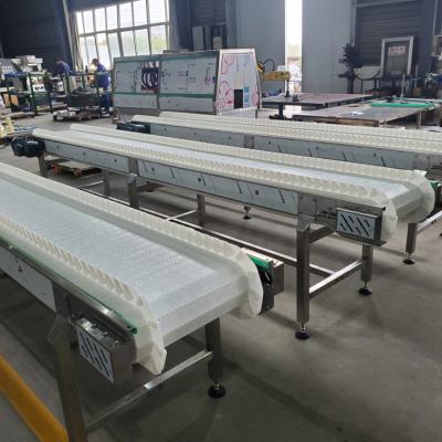 China Factory Good Quality Food Grade Modular Belt Conveyor for sale