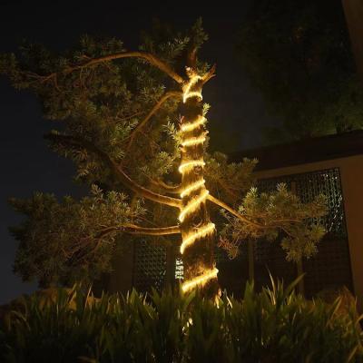 China Solar Flexible Landscape Garden Lights Strip Outdoor Accessible Led Camping String for sale