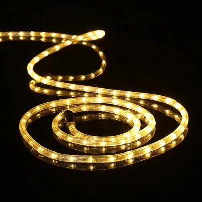 China Light Flexible Led Decorative Waterproof Light Wholesale Garden Rope Lamp Sign Lights Customs Lead for sale