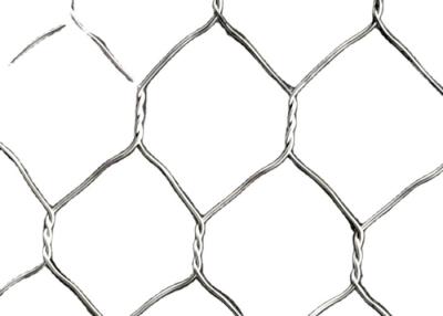 China 2mm Galvanized PVC Hexagonal Double Twisted Hexagonal Wire Mesh Protect Rock Fall for sale