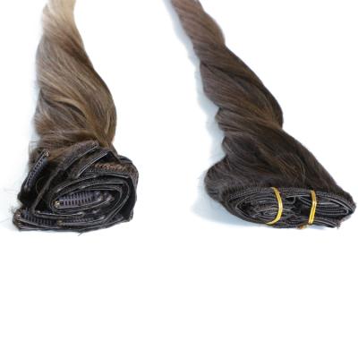 China 100% Silky Straight Virgin Human Remy Hair Extensions Clip In Hair for sale