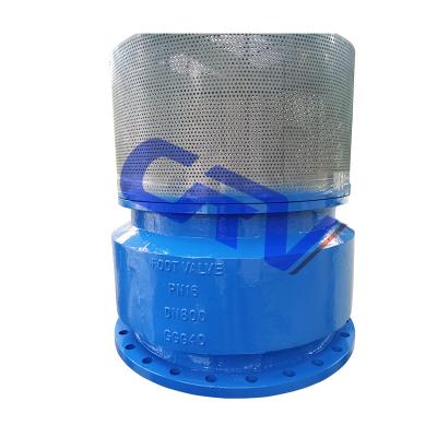 China Hot General 2020 Sales Factory Price Big Size High Quality Ductile Iron Vertical Industrial Foot Valve for sale