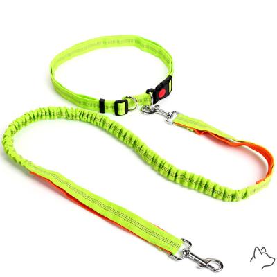 China Durable High Quality Strong Nylon Reflecting Hands Free Running Dog Leash for sale