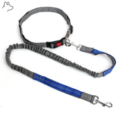 China Wholesale Viable Thoughtful Durable Bungee Running Hands Free Dog Leash for sale