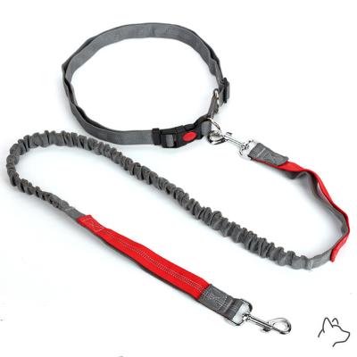 China Viable New Design Multifunctional Running Dog Leash Hands Free Dog Leash For Running for sale