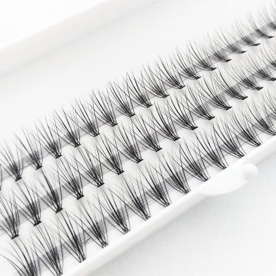 China Long Natural 2D 3D 4D 5D 6D 8D 10D Par-fanned Different Group Lashes for sale