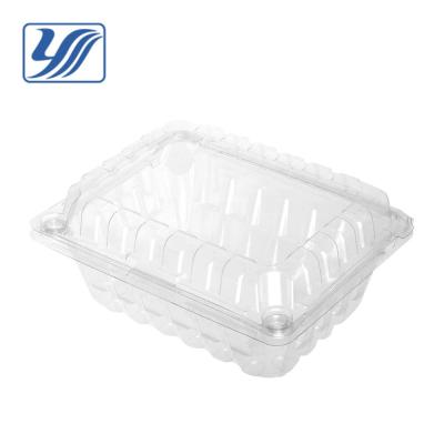 China Plastic PET / PLA PET PLA Food Storage Container For Fruit for sale