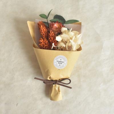 China Real Dried Flower JDFG-33 Dried Gifts Dried Preserved Flower Dried Small Flower For Valentine's Day Gift for sale