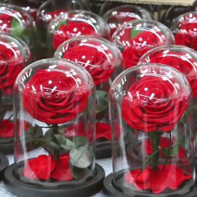 China Preserved Rose JPG-18 Big Flower Eternity Luxury Roses Preserved Flowers Preserved Roses In Dome For Valentine's Day Gift for sale