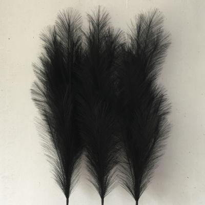 China Hot Sale Black Silk Plume Pampas Artificial Pampas Grass Giant Fake OAP-017 for sale