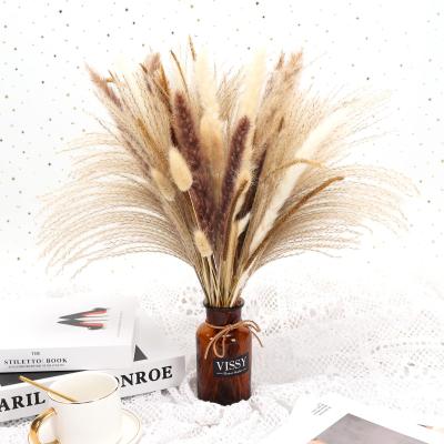 China JDP-52 Pampas Stats Furniture Store Dry Living Room Decorated Pampas Grass Reeds Pampas Grass Bouquet Nordic Air Dried Flowers for sale