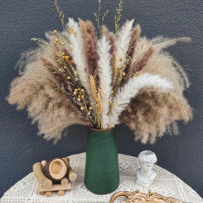 China JDP-56 Hot Selling Pampas Amazone Pampas Natural Dry Grass Big Dried Pampas Grass Dried Pampas Bunch for sale