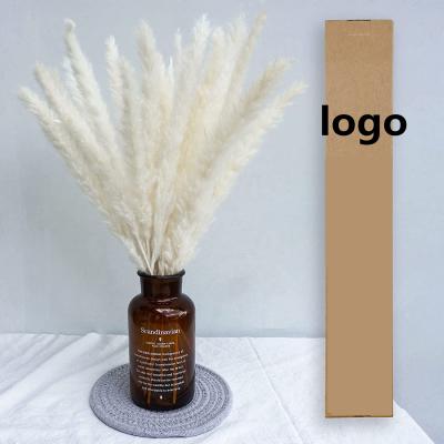 China Hot Sale 15pcs Brown Small Pampas Grass Natural Dry White Dried Pampas Grass DP-028 For Pampas Grass Bouquet for sale