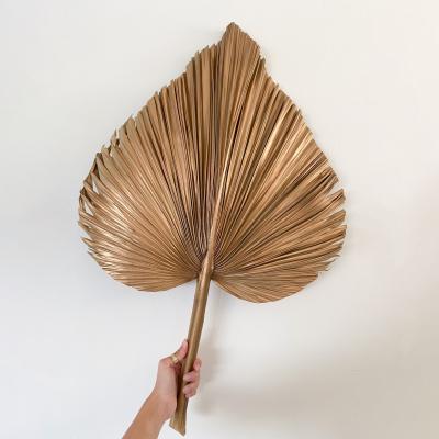 China JDP-048 Wholesale gold dry palm leaves natural palm leaf dried palm leaves decor for sale