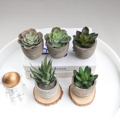 China JSP-001 Mini Succulent Plastic Artificial Succulent potted Front Door /Wedding/Christmas artificial potted for potted artificial plants for sale