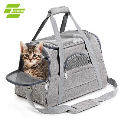 China 2020 Sport Pet Capsule Pet Backpack Shoulder Bag Dogs Small Cats Outdoor Carry Breathable Light Weight for sale