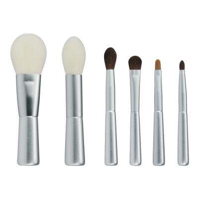 China Angular Blush New 6pcs Silver Mini Makeup Brush Set With Brush Bag for sale