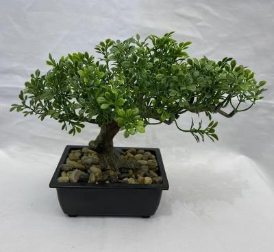 China Green Modern Home Decoration 17cm(H) Real Look Real Fake Looking Real Plastic Indoor Bonsai Plants for sale