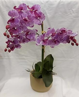 China Real Touch Home Deco Nature Indoor Contemporary PE + PE Ceramic Realistic Purple Orchid Pot 62cm(H) Artificial Plants for sale