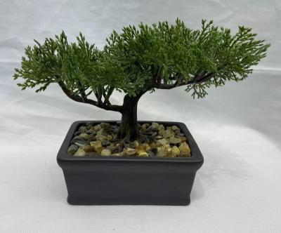 China Bonsai Plants New Design Home Feel Good Quality Modern Plastic Fake Bonsai Green Ceramic Round Plants 15cm(h) for sale