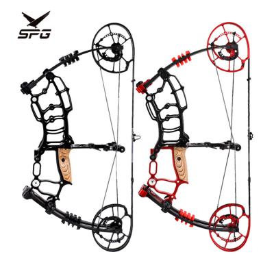 China Hunting SPG Factory Outlet Dual Function Arrow and Steel Ball Hunting Archery Steel Ball Compound Bow for sale