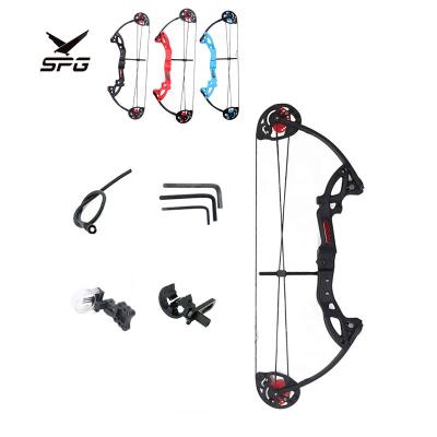 China Hunting SPG Archery Hunting Equipments Adjustable Colorful Compound Straight Archery Set For Kids for sale