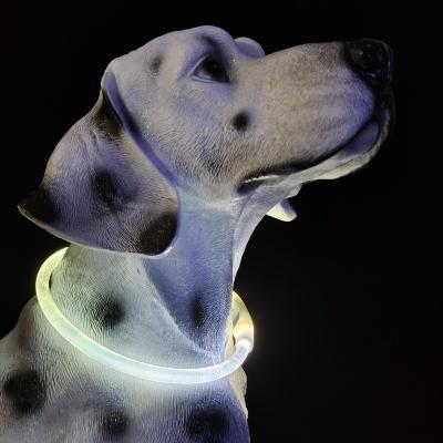 China 2021 Sustainable Trending Products Waterproof Led Dog Collar For Dogs for sale