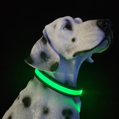 China Thoughtful Dog Collar With Leash Pet Products Dog Collars And Dog Light Led Collar Led for sale