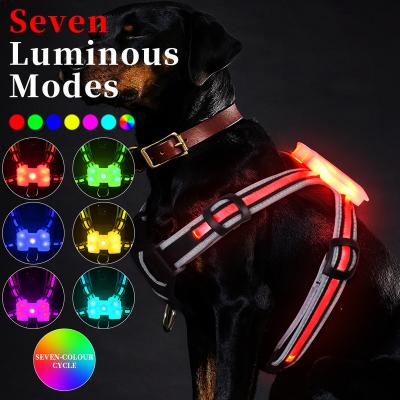 China Sustainable Dog Harness Led Rechargeable Light For Large Dog Sliding Leads For Thoughtful Dogs for sale