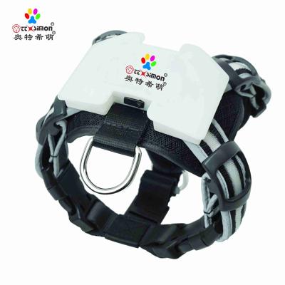 China Sustainable Dog Harness Led Lightweight Fashion Pet Harness Collar Led Dog Led Rechargable Dog Harness for sale