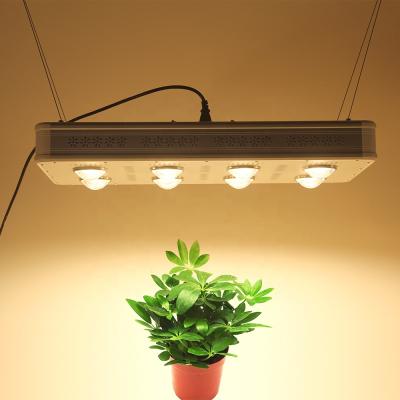 China Seed starting high quality Crees Cxb3590 led grow lights DP500 crees cxb 3590 cob led grow light for plant growth for sale