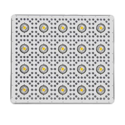 China Seed Starting 2020 New Arrival Commercial Full Spectrum 1800W COB LED Grow Light For Greenhouse / Plant Horticulture for sale