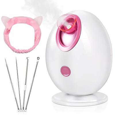 China Kingworth DEEP CLEANSING Deluxe Nano Ionic Pore Spray Facial Steamer Deep Cleansing Facial Steamer for sale